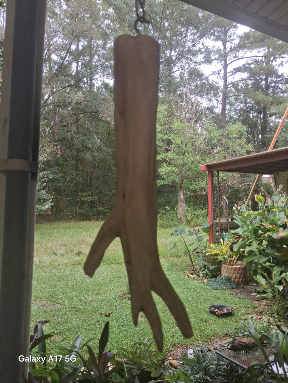 Natural Driftwood Wall Hanging - Brown Decorative Home Art
